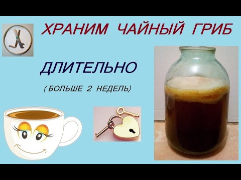 Как ХРАНИТЬ чайный гриб длительное время (больше 2 недель)