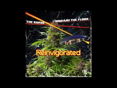 YouTubeでNowaah The Flood x The Kurse - LET ME ROCKを視聴