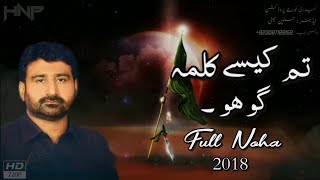 Tum Kaise Kalma Go Ho Full Noha 2018 | Raza Abbas Shah Nohay | Noha 2018 | Hnp | Muharram Status screenshot 1