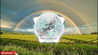 Sanja Vucic - Omadjijan ( DJ SHEKI REMIX 2022 )