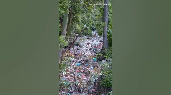 One small act of kindness🌎 #camping #survival #bushcraft #outdoors