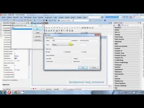 DevExpress VCL Mem Data  Embracadero xe8