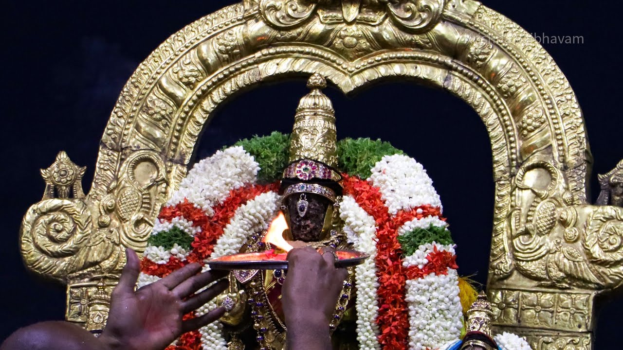 Sri Parthasarathy Perumal Purattasi Ekadesi Purappadu | Thiruvallikeni ...