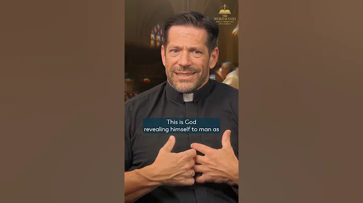 The Catechism Explained w/ Fr. Mike Schmitz