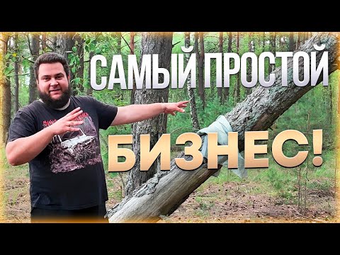 Видео: Кора стоит денег?