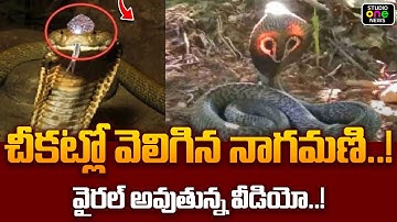 😱Nagamani glows in the dark..!Video going viral on social media..! | Nagamani | Studio one news