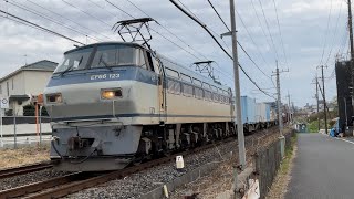 EF66型123号機牽引のコンテナ貨物が華麗に通過