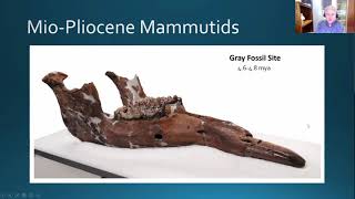 Mastodon Evolution with Dr. Chris Widga is the Head Curator at the Gray Fossil Site and Museum.