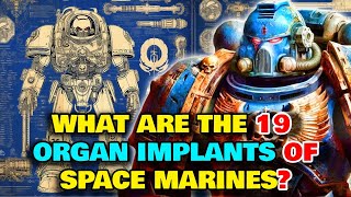 Space Marine Anatomy - What Are The 19 Implants That Every Space Marine Gets? What Is The Gene Seed?