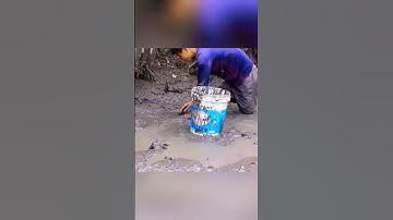 Tác mương lâu năm trúng ổ cá rô cá lóc khủng phần 39#shorts