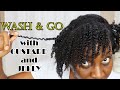 Wash and Go on Natural Hair Using Custard and Jelly |  Best Wash and Go Combo | DiscoveringNatural