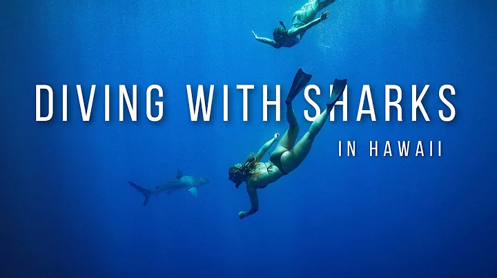 Shark Diving in Hawaii – What It's Really Like (Full Guide + Tips)