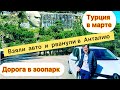 Турция в марте. Взяли авто на прокат и поехали в Анталию в Зоопарк. Дорога.