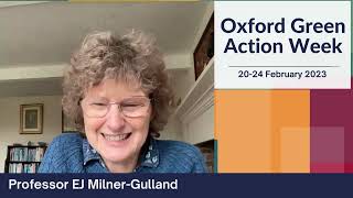 Professor EJ Milner-Gulland - what can we do to improve biodiversity in our daily choices