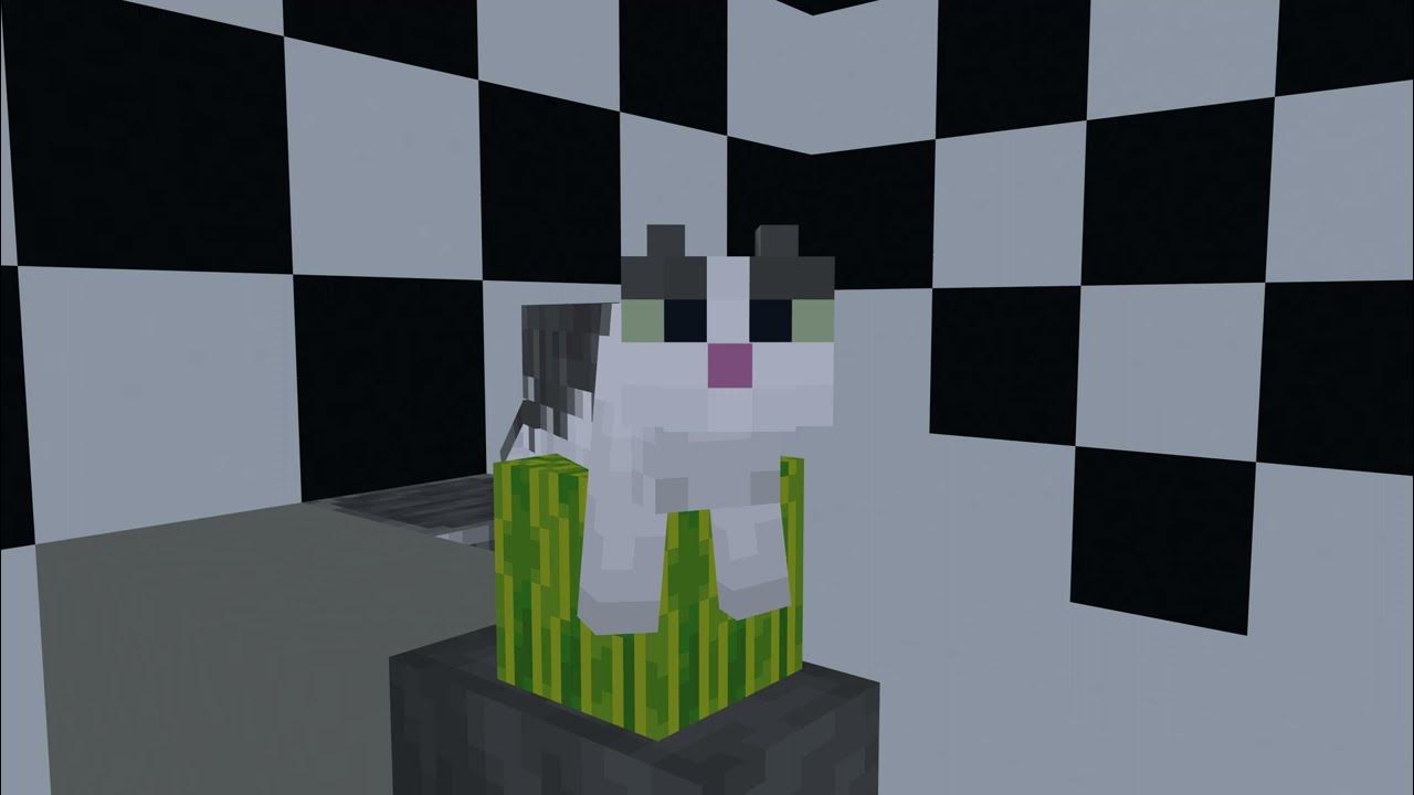 Кот на арбузе в майнкрафт 4к шок!!!!! - YouTube