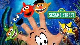 Sesame Street Elmo Bert Ernie Cookie Monster Finger Family Song Baby Shark Nursery Rhyme Song