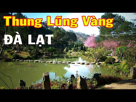 thung lung vang dalat Update 2022 Thung Lũng Vàng Đà Lạt - Khám phá du lịch