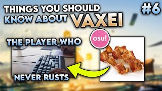 Things You Should Know About Vaxei | osu!