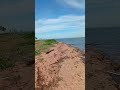 #contemplandoanatureza