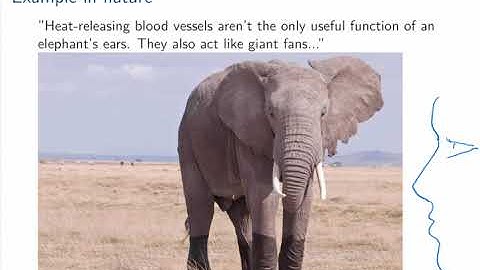 Extended Surfaces part 1