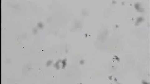 Formation of single-electron-transistors using self-assembly of nanoparticle chains