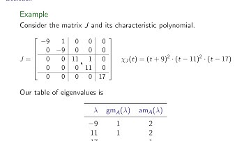 The Characteristic Polynomial: Part 2/2 "Algebraic Multiplicity"