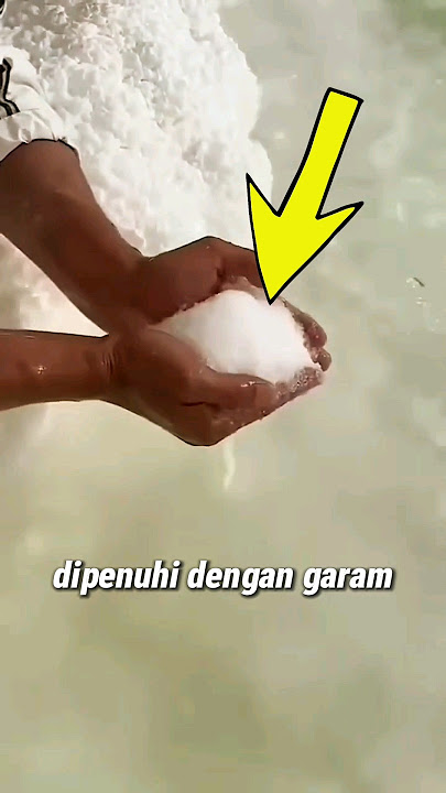 LAUT YANG DIPENUHI GARAM PALING ASIN 😨