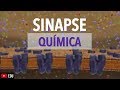 Sinapse Química: Animação | Anatomia e etc