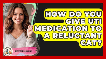 How Do You Give UTI Medication To A Reluctant Cat? - Happy Cat Handbook
