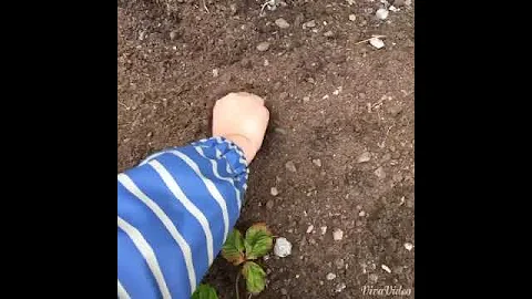 Teach Your Children How to Grow Flowers - DayDayNews