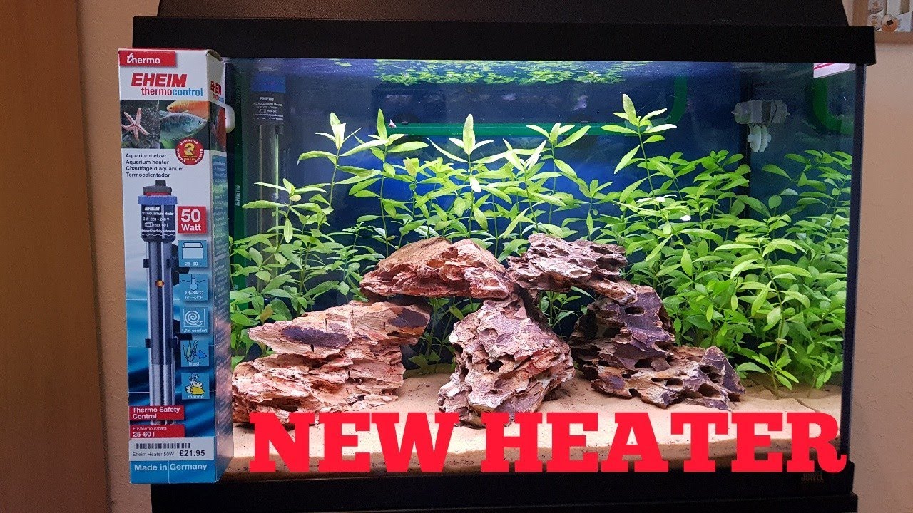 camera iphone 8 plus apk Juwel aquarium setup week 4 - New heater!!!!
