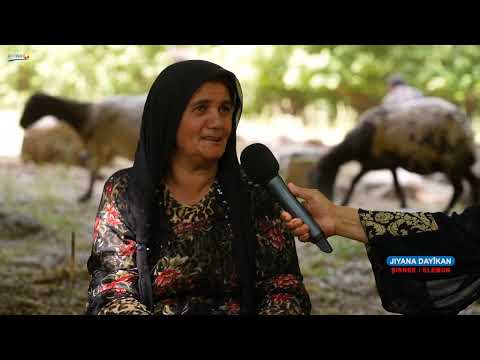 Jiyana Dayikan, Şirnex,
