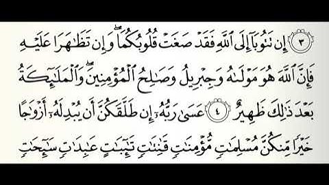 سورة التحريم القارئ صالح الصاهود