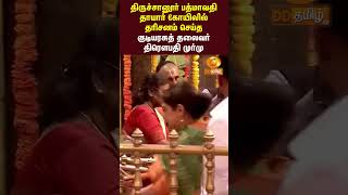 தரபபத தரசசனர பதமவத தயர கயலல தரசனம சயத கடயரசத தலவர தரபத மரம