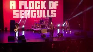 “Wishing (If I Had A Photograph Of You)” A Flock Of Seagulls live at Paramount Middletown NY 3/23/24