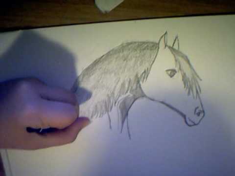 Tutorial Come Disegnare Un Cavallo Parte 2draw A Horse 2