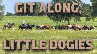 RAISING BEEF CATTLE FOR BEGINNERS – Cattle Round Up &amp; Auction Hauling!