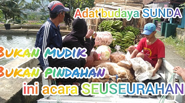 TAPAK CINTA - NINA - cover pop sunda - #musiksunda #viral #cibuyutcreator
