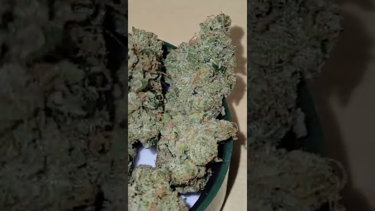Tropicanna by CBX (Cannabiotix)