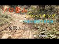 【ソロ登山・ソロハイキングレポート〜可能な範囲で重装備〜】金冠山 shizuoka japan No.202110029