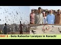 Ustad Muhammad Deen K 200 Gola Pigeons Fight in Ramsami Karachi - Part 1
