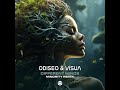 Odiseo visua  different minds minority remix  official
