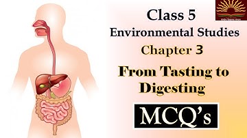 From tasting to digesting --Chapter 3|| MCQ || WORKSHEET ||Class 5-EVS || KVS || NCERT ||CBSE||