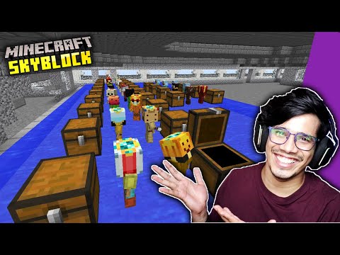 Starting Business In Minecraft Hypixel SkyBlock #5