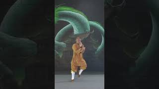 Shaolin Kung Fu by sifu Shi De Yang + David Greenland - music by @FabianKreutzerSound #kungfu