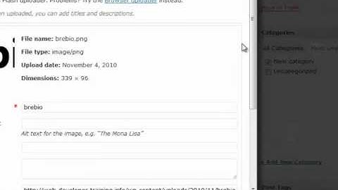 Wordpress Tutorial: How to insert an image, video, or audio file