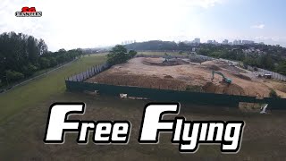 Free Flying At The Open Field
