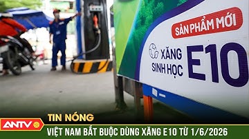Bắt buộc dùng xăng E10 từ 6/2026: Những lưu ý "bỏ túi" cho tài xế | ANTV