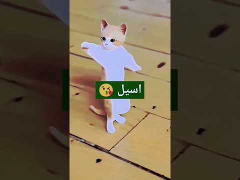 الاكتر طلبا أسيل أسيل العراق السعودية قطر الامارات الكويت البحرين اليمن  