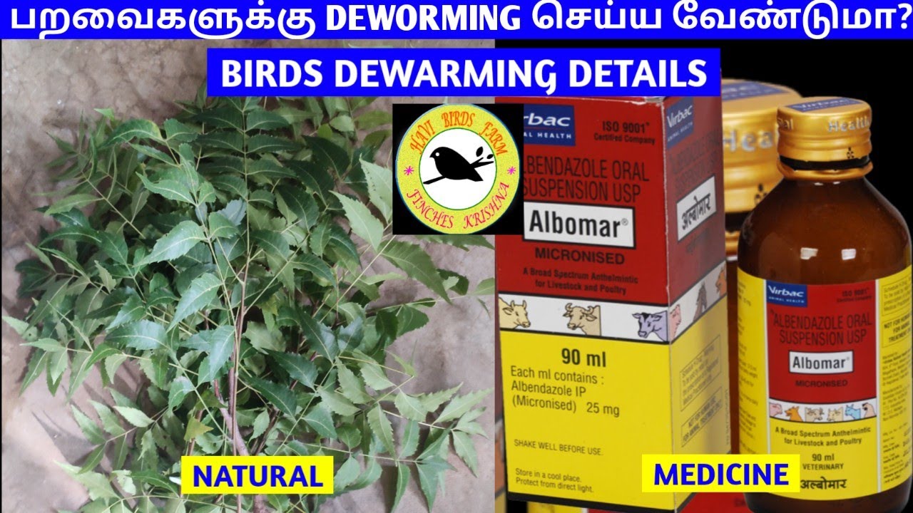 BIRDS DEWORMING DETAILS VIDEO DEWORMING FOR BIRDS NATURAL AND